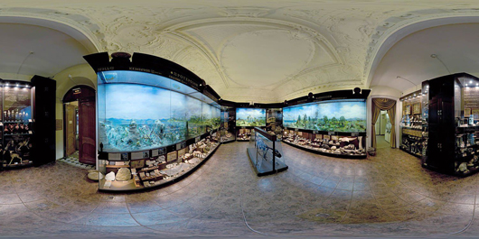 3d панорамы